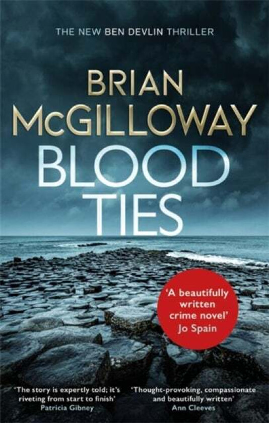 Blood Ties av Brian McGilloway