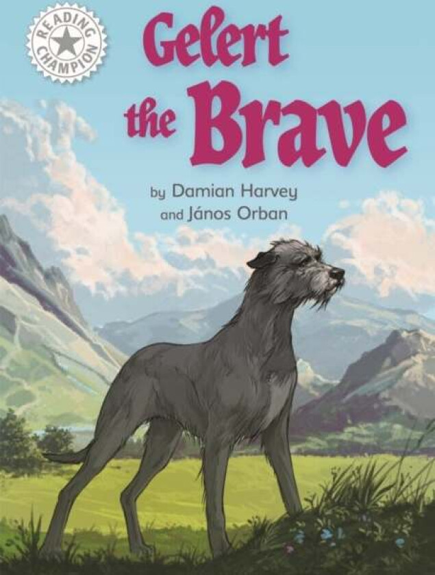 Reading Champion: Gelert the Brave av Damian Harvey