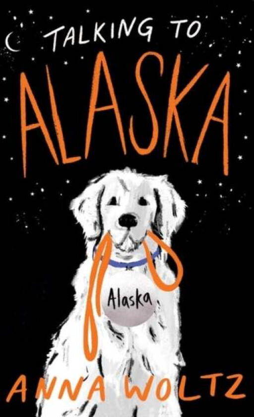 Talking to Alaska av Anna Woltz