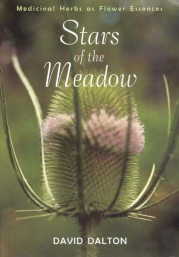 Stars of the Meadow av David Dalton