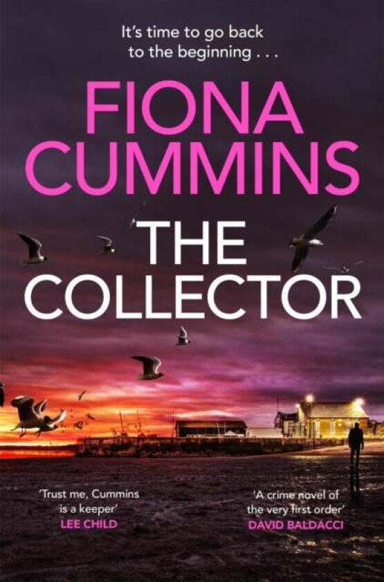 The Collector av Fiona Cummins