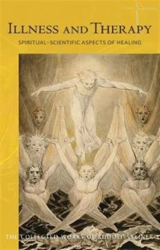 Illness and Therapy av Rudolf Steiner
