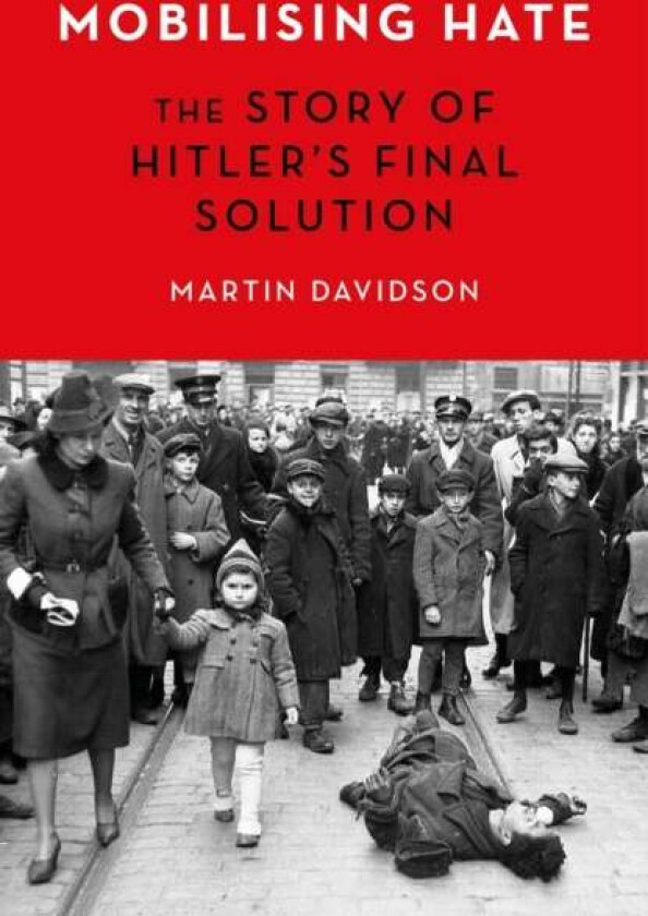 Mobilising Hate av Martin Davidson
