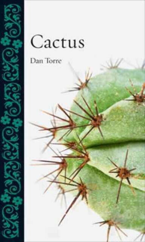 Cactus av Dan Torre