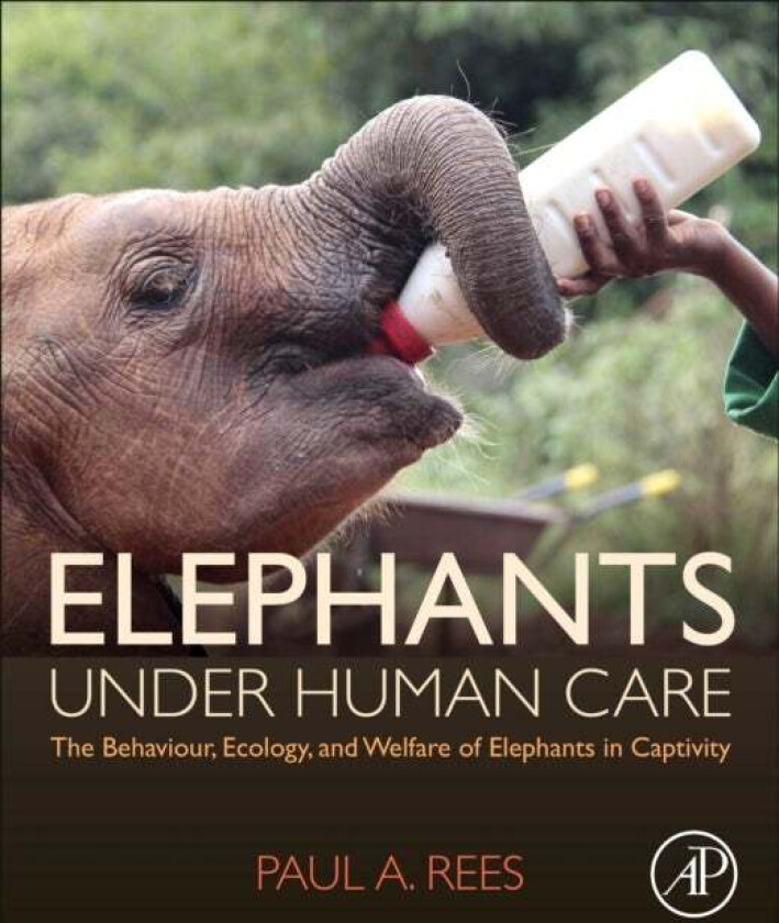 Elephants Under Human Care av Paul A. (Senior Lecturer School of Science Rees