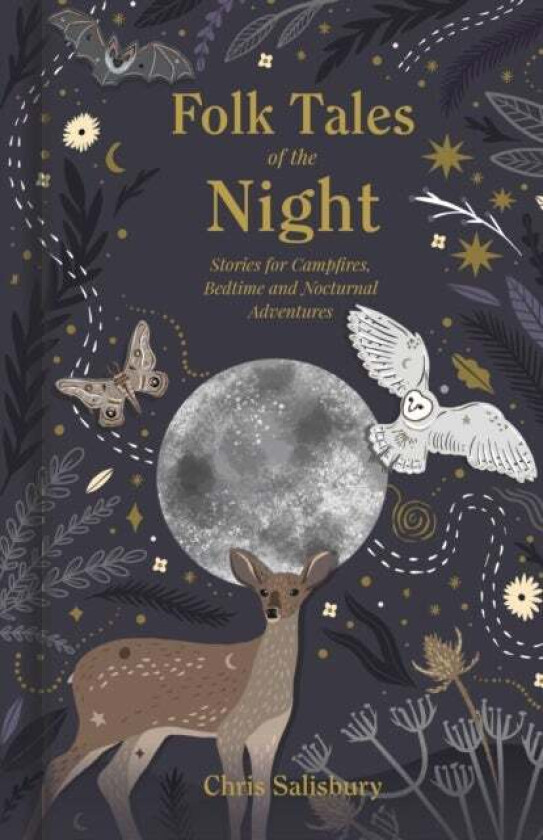 Folk Tales of the Night av Chris Salisbury