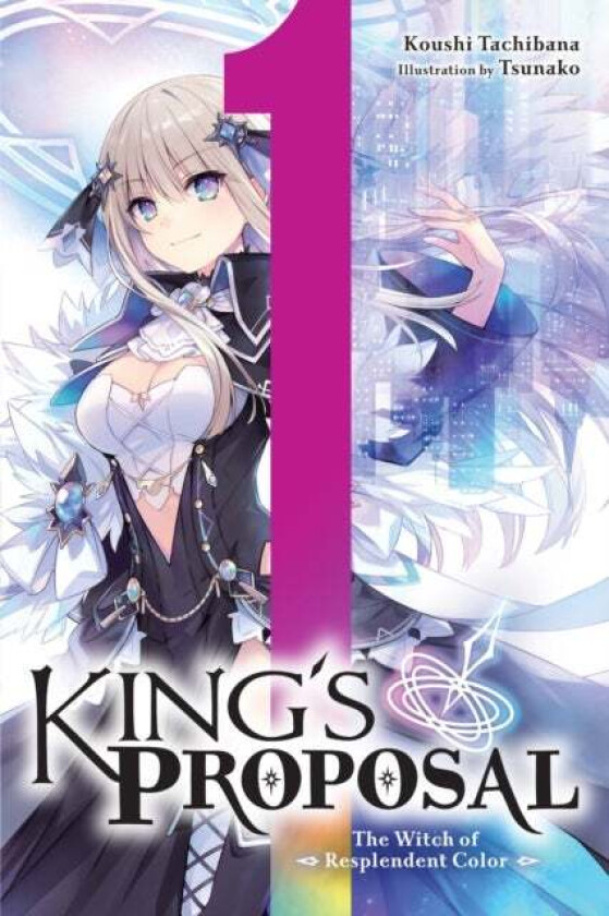 King's Proposal, Vol. 1 (light novel) av Koushi Tachibana
