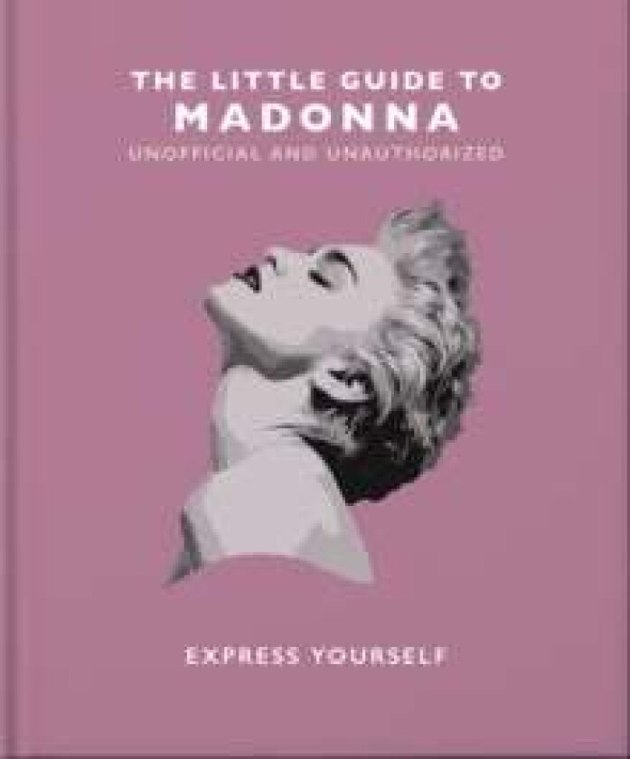 The Little Guide to Madonna av Orange Hippo!