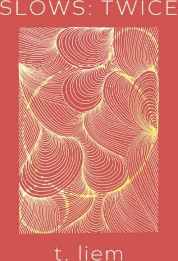 Slows: Twice av T. Liem