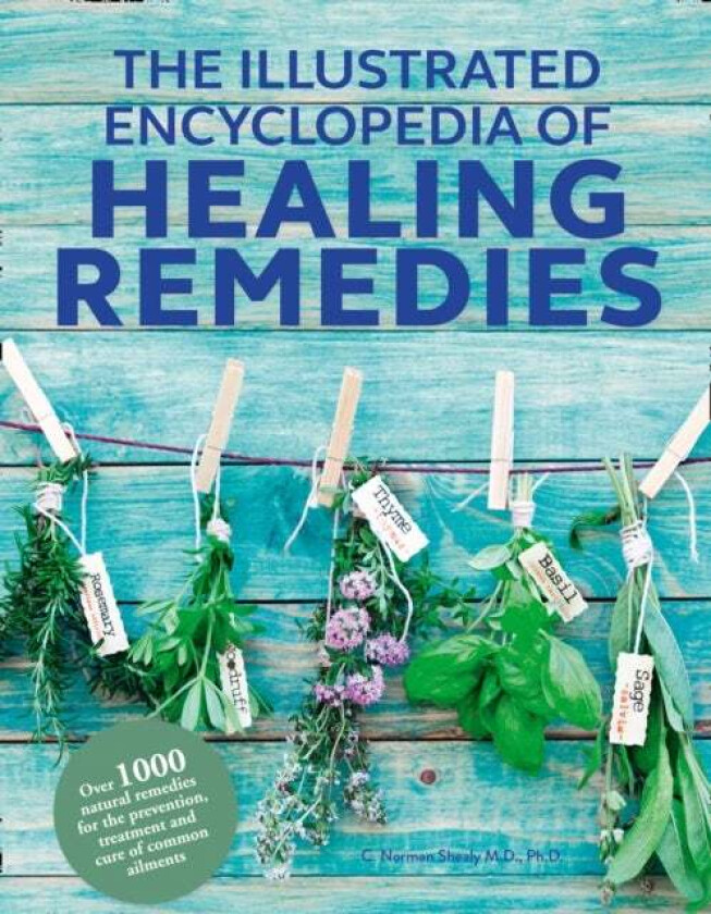 Healing Remedies, Updated Edition av M.D. Ph.D. C. Norman Shealy