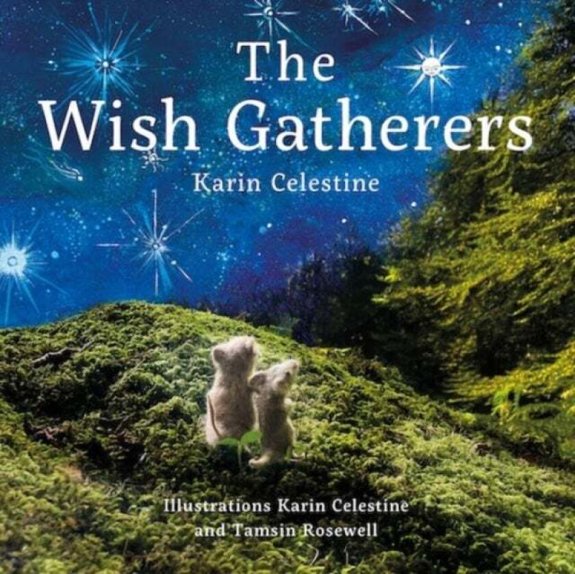 The Wish Gatherers av Karin Celestine