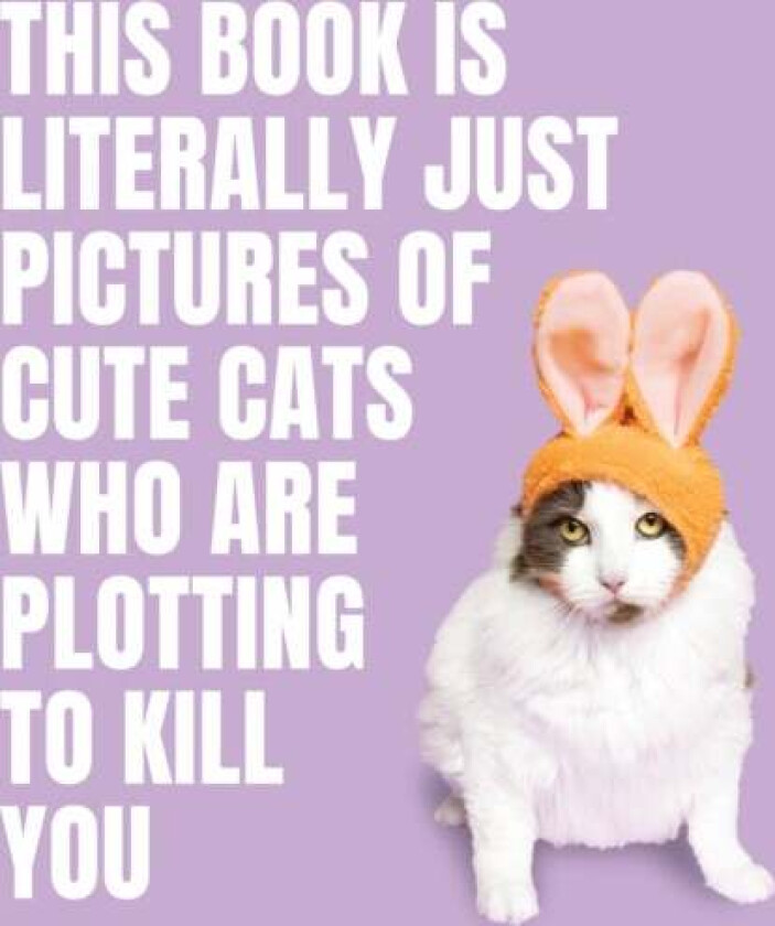This Book Is Literally Just Pictures Of Cute Cats Who Are Plotting To Kill You