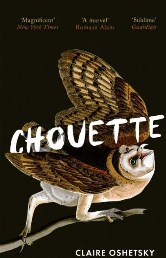 Chouette av Claire Oshetsky