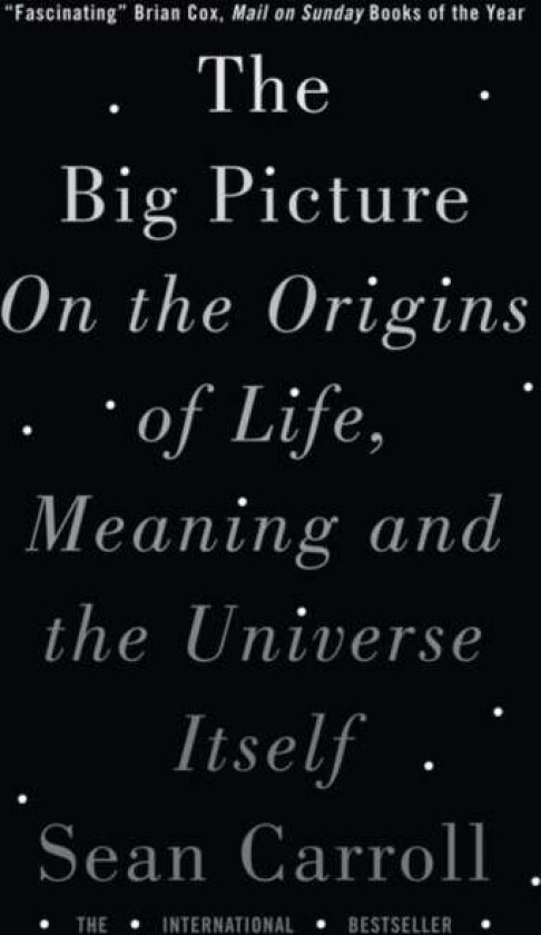 The Big Picture av Sean Carroll