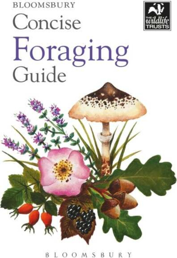 Concise Foraging Guide av Tiffany Francis-Baker