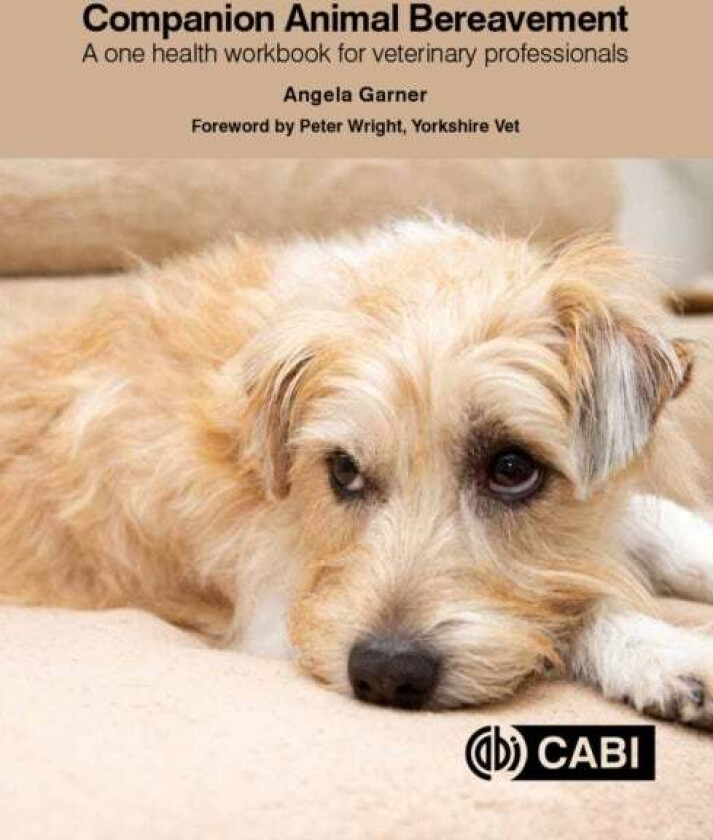 Companion Animal Bereavement av Angela (Animal Bereavement Specialist UK) Garner