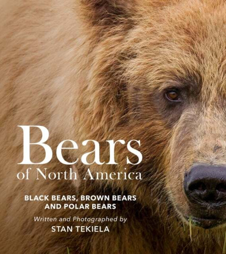 Bears of North America av Stan Tekiela