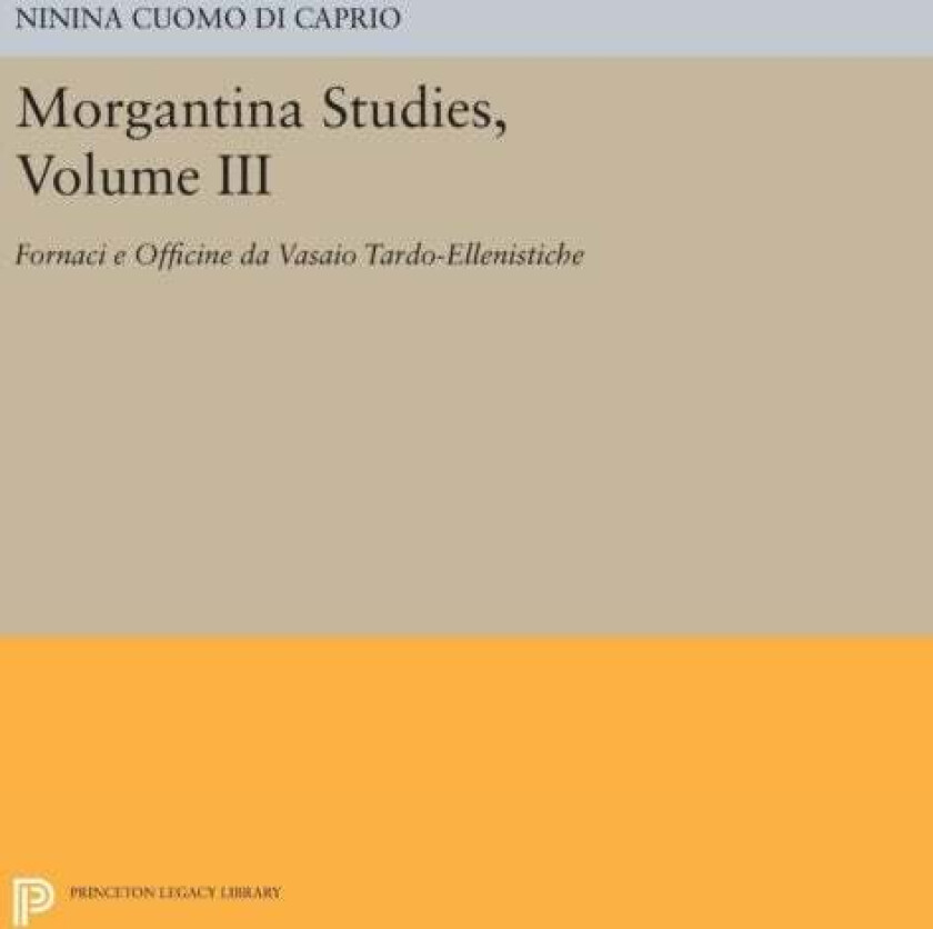 Morgantina Studies, Volume III av Ninina Cuomo di Caprio
