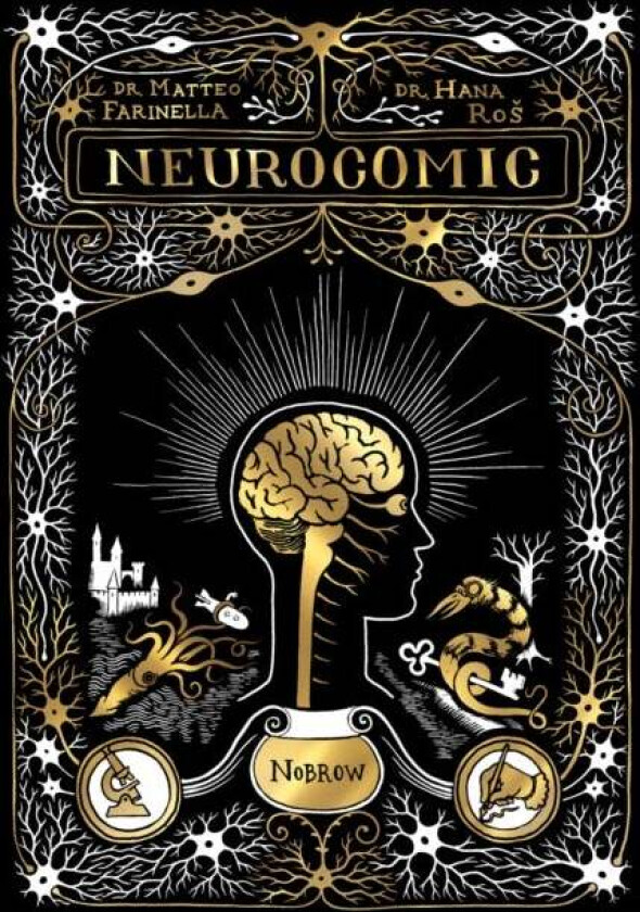 Neurocomic av Matteo Farinella, Hana Ros