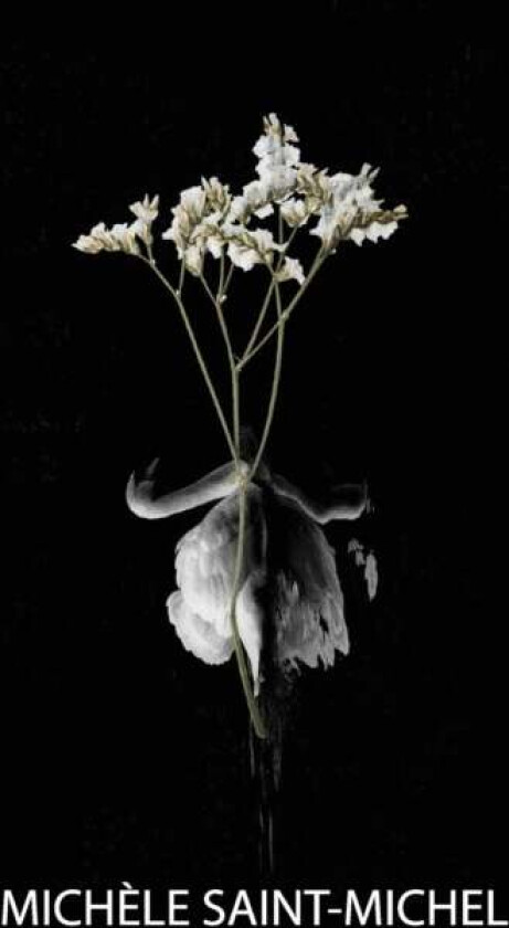 Grief Is an Origami Swan av Michele Saint-Michel