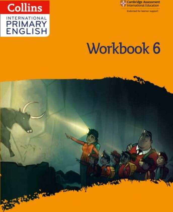 International Primary English Workbook: Stage 6