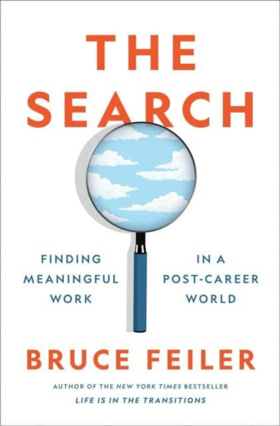 The Search av Bruce Feiler