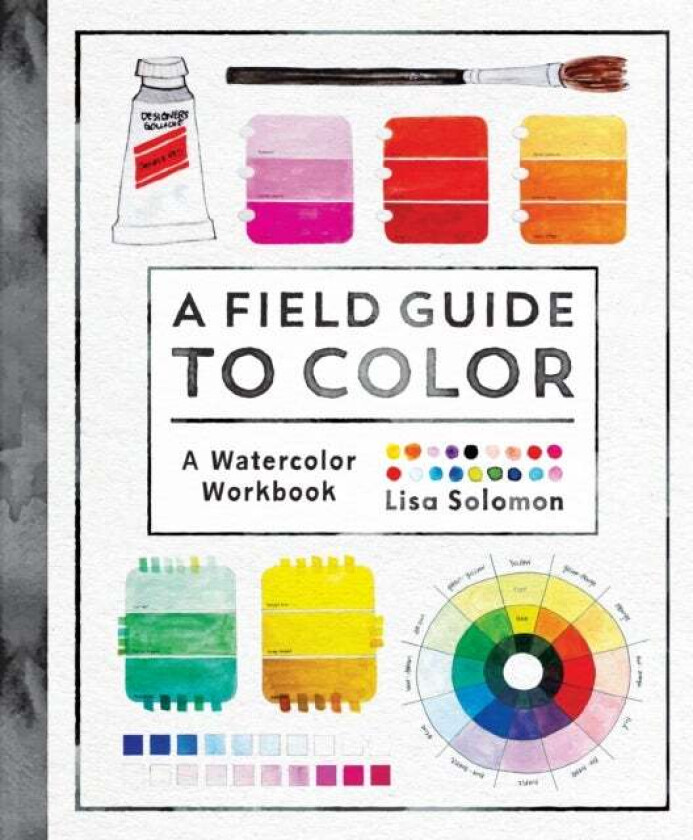 A Field Guide to Color av Lisa Solomon