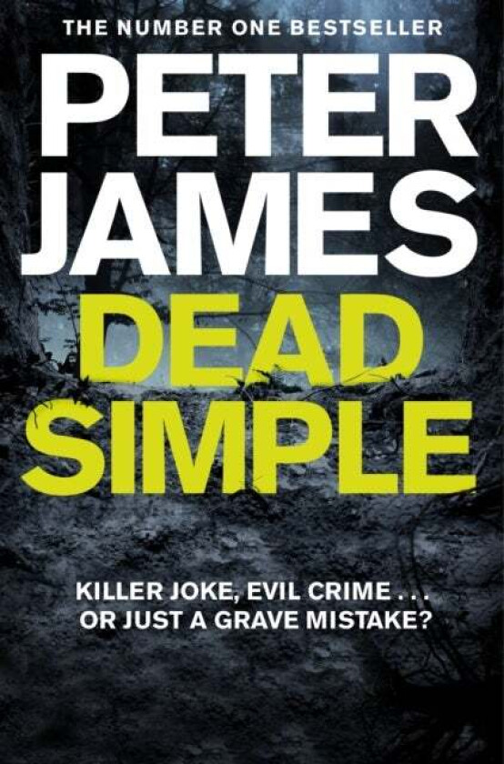 Dead Simple av Peter James