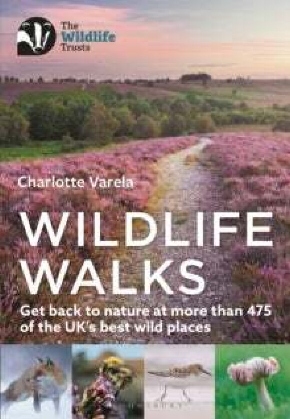 Wildlife Walks av Charlotte Varela