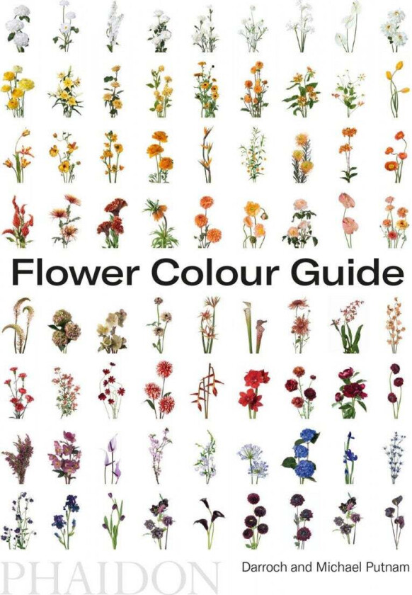 Flower Colour Guide av Taylor Putnam, Michael Putnam