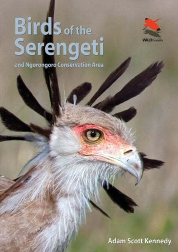 Birds of the Serengeti av Adam Scott Kennedy