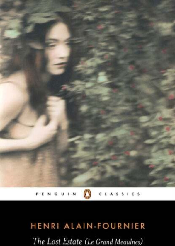 The Lost Estate (Le Grand Meaulnes) av Henri Alain-Fournier