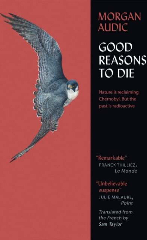 Good Reasons to Die av Morgan Audic