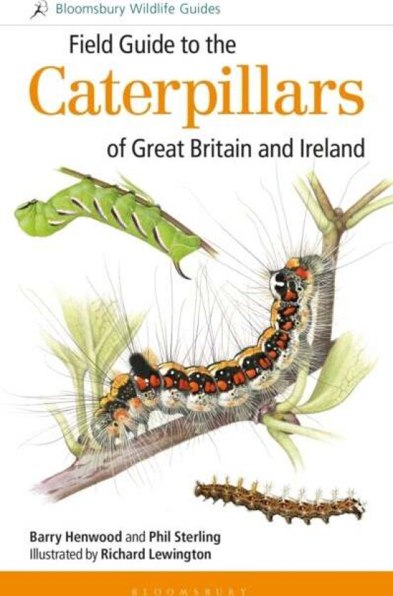 Field Guide to the Caterpillars of Great Britain and Ireland av Dr Phil Sterling, Mr Barry Henwood