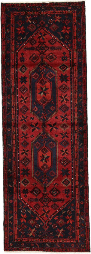 Hamadan Teppe 102x296