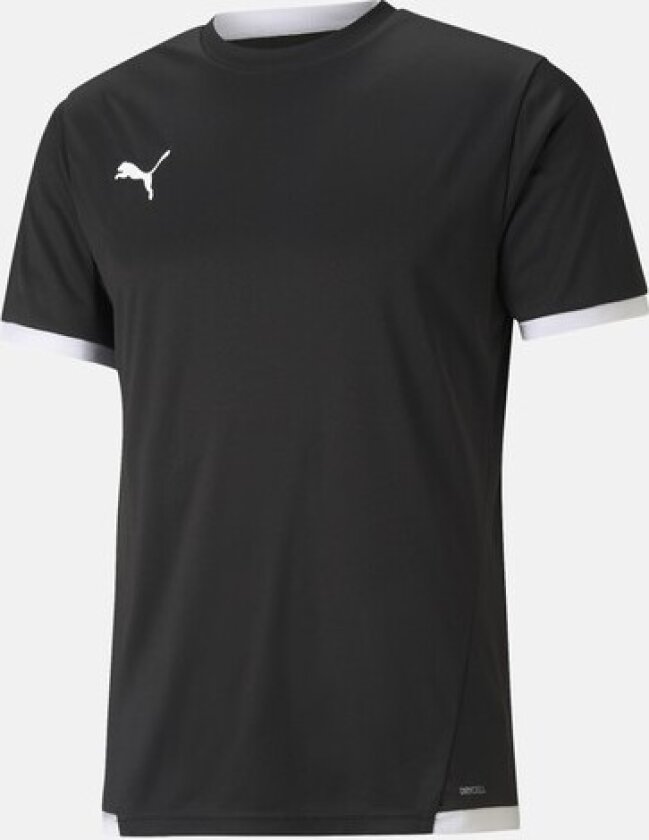 Teamliga Jersey, Puma Black-Puma White, Xl, Fotball