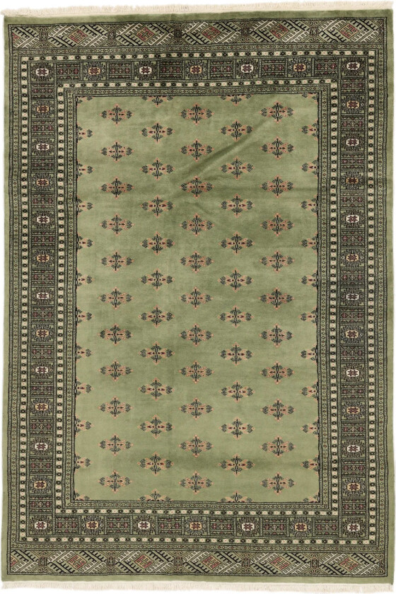 Pakistan Bokhara 2ply Teppe 169x247