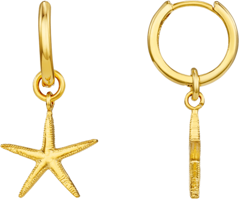 Jewellery Starfish Huggie Hoops