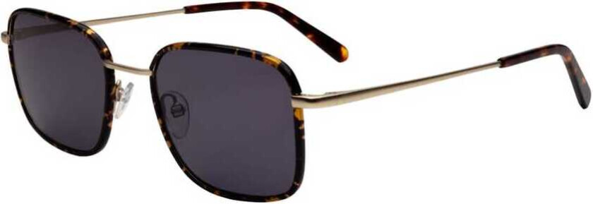 Okkult Anton Brown Havana Matt Gold