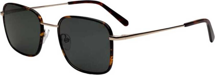 Okkult Anton Brown Havana Shiny Gold