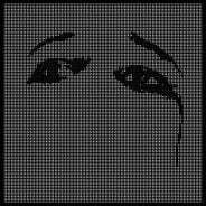 DEFTONES - OHMS (VINYL)