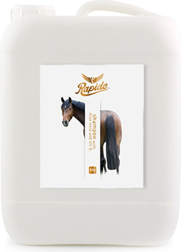 RAPIDE Shampoo