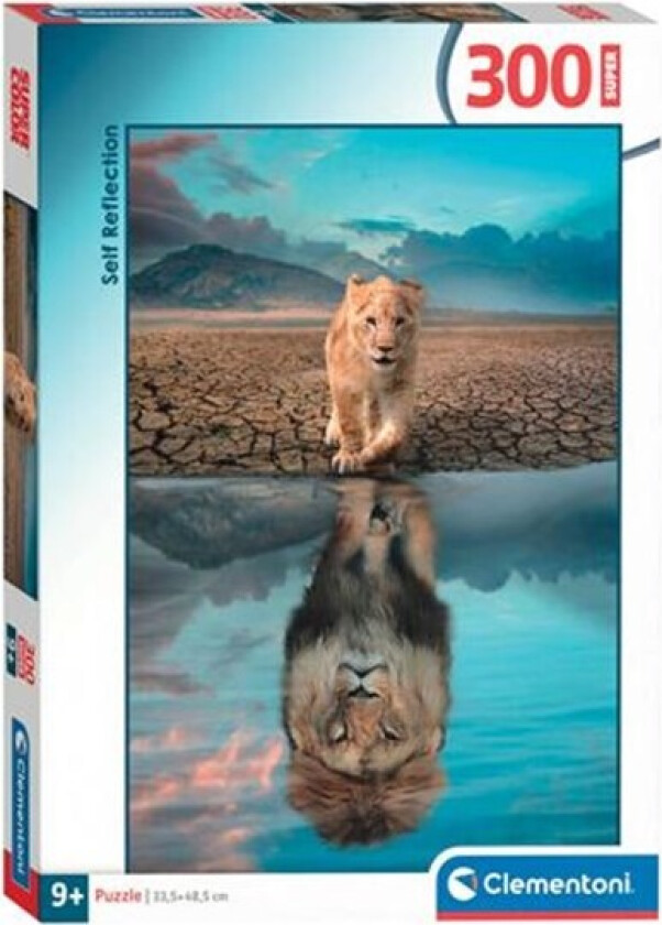 Jigsaw Puzzle Super Color Self Reflection 300 pcs. Gulv
