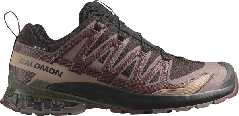 Men's XA Pro 3D V9 GORE-TEX Black Coffee/Rum Raisin/Olive Night 40 2/3, Black Coffee/Rum Raisin/Olive Night