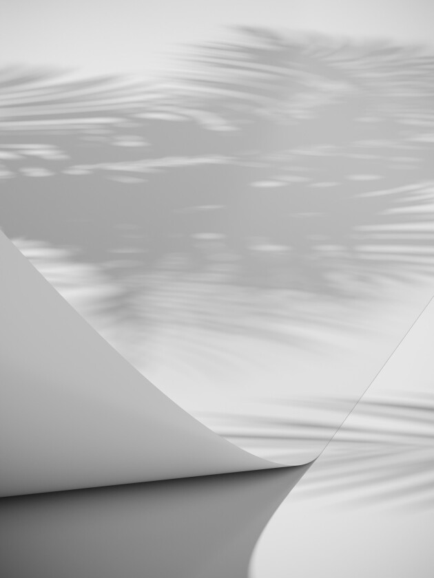 Poster Papyrus 70x100 cm - Hvit