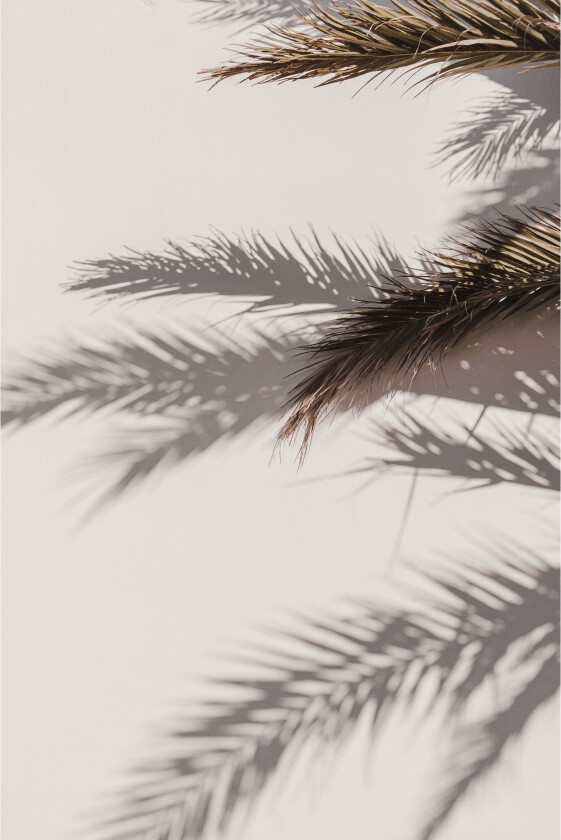 Poster Shadow 70x100 cm - Beige