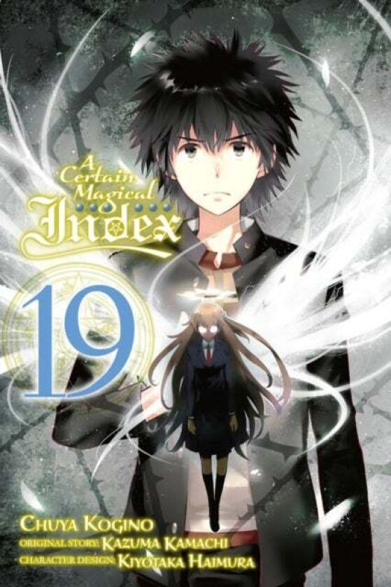 A Certain Magical Index, Vol. 20 (light novel) av Kazuma Kamachi
