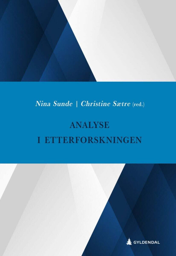 Analyse i etterforskning av Nina Sunde, Christine Sætre