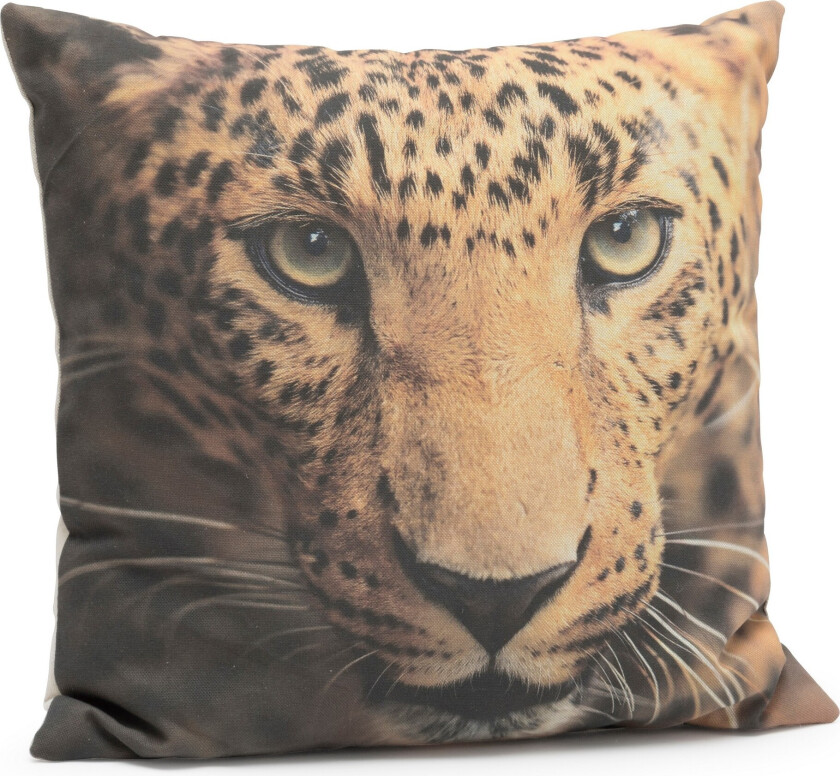 Dekorasjonspute 45x45 cm - Brun