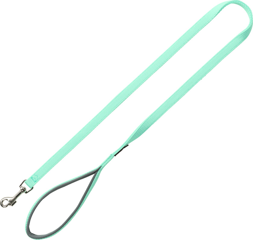 Premium bånd mint - XS-S: 120 cm langt, 15 mm bredt